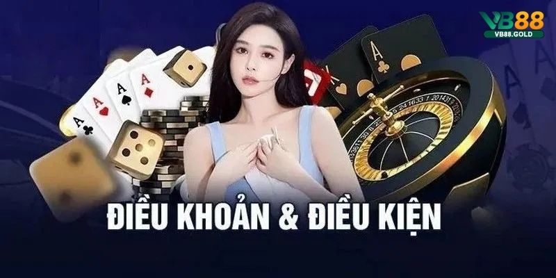 Đôi nét về điều khoản điều kiện